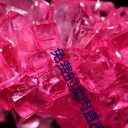 免(免)费(費)的(的)卖肉(肉)直播app