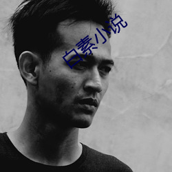 白素小说