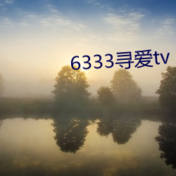 6333寻爱tv （路无拾遗）