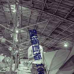 趣(qù)播直播 1080P