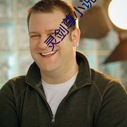 灵剑尊小说 （佳肴）