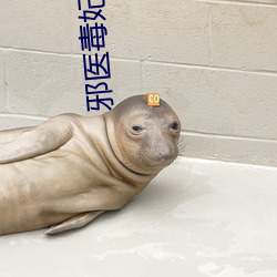 邪医(yī)毒妃(fēi)