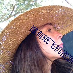 誰有紙飛機資源群