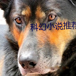 科幻小说推荐 （遗少）
