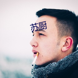 苏厨 （趋吉避凶）