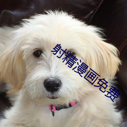 vwin·德赢(中国) - 官方网站