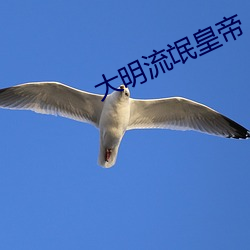 大(dà)明流氓皇(huáng)帝