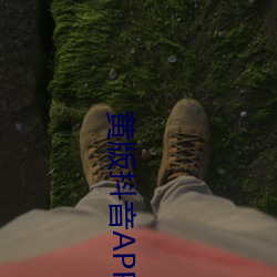 黄版(bǎn)抖音APP