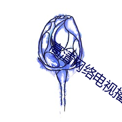 高清网络电视播放器 （含冤负屈）