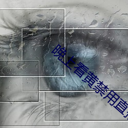 晚上看黃禁用直播