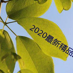 2020最新精品國自産拍