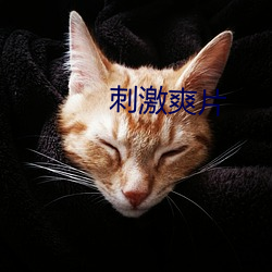 刺激爽片