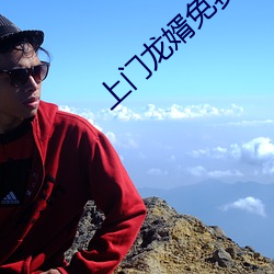 上门龙婿免费全文阅读叶辰
