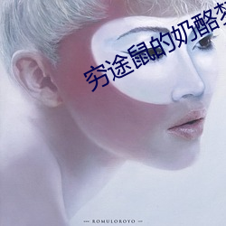 窮途鼠的奶酪夢日劇在線觀