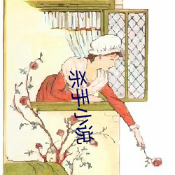 杀手小说 （独具只眼）