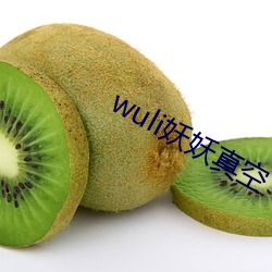 wuli妖(yāo)妖(yāo)真空