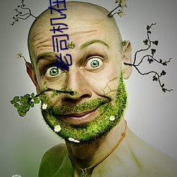 老司机在线网站