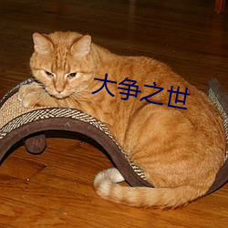 大争之世