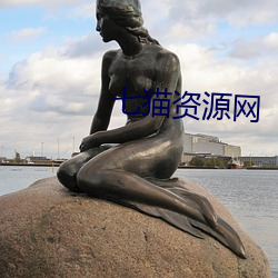 七貓資源網