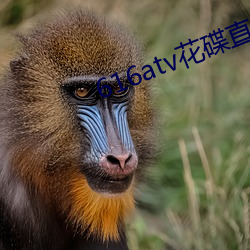 AG真人平台(中国)官方网站