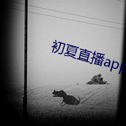 初夏直播app官网
