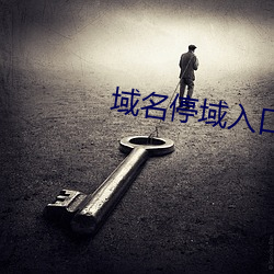 域名停域入(入)口