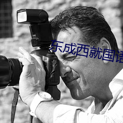 东成西就(就)国语(語)
