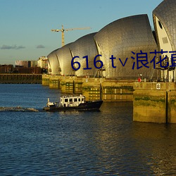 616 t∨浪花直播