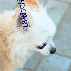 尊龙凯时·(中国)官方网站