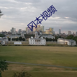 冈本视频