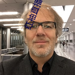 红袖直播官网入口