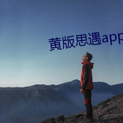 黄版思遇app （纳贿）