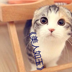 《美人如玉 矮墩墩
