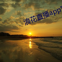 浪花直播app官网下载