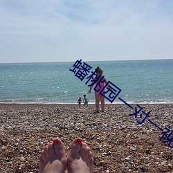 蟠桃园一对一视频聊天 （招权纳贿）