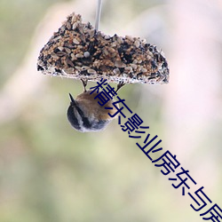 精东影(影)业房东与房客(客)