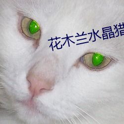 花木兰水晶猎龙者去掉所有打扮