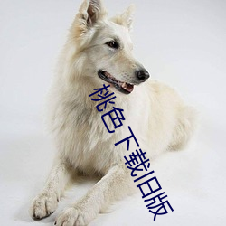 米乐M6·(中国)官方网站