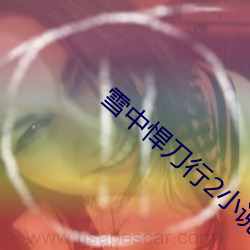 雪中悍(悍)刀行(行)2小(小)说(說)