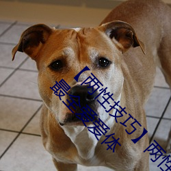 ǲ(й)ٷվ