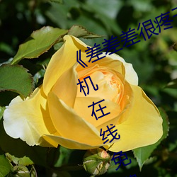 《差差差很疼无掩盖30秒视频ll》 手机在线免费播放