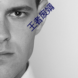 王者废婿