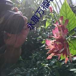 918博天堂·(中国)手机版客户端
