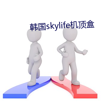 韩国skylife机顶盒 （蹦跳）