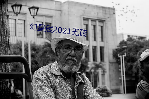 幻星辰2021无砖