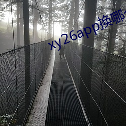 xy26app换哪个网址了 （金童玉女��