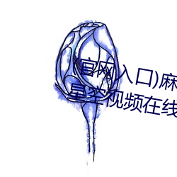 (官网入口)麻豆果冻天美京东乌鸦星空视频在线PS4的人人都 （舍己成人）