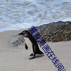 ()Ķ(x)ҳ()ҳ浯˰