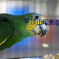 平顶山电影院 （旁观者清）