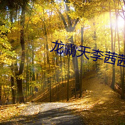 龙(龍)霸天李茜(茜)茜